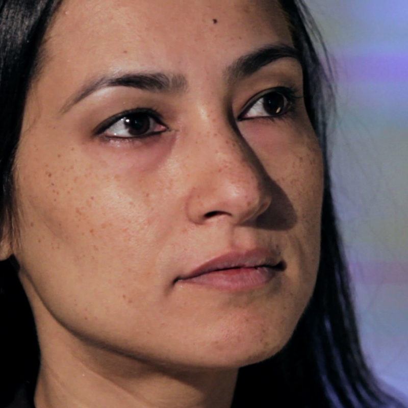 Shahzia Sikander
