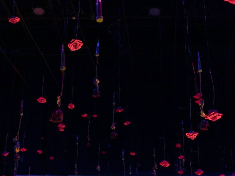 Multiple roses hang upside down from the ceiling of Performance Space.