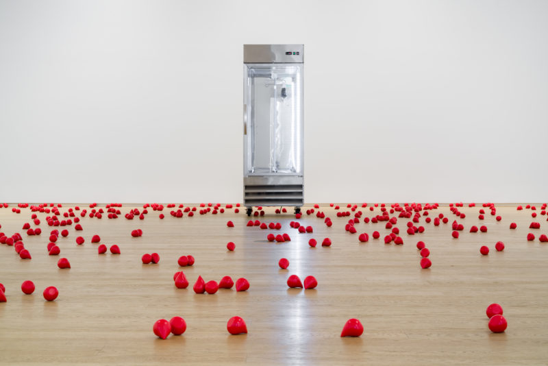 Installation view of an industrial refrigerator with clear doors and walls, against a white wall. On the wooden floors, tens or hundreds of red teardrop shaped forms are scattered, each the size of a tennis ball.