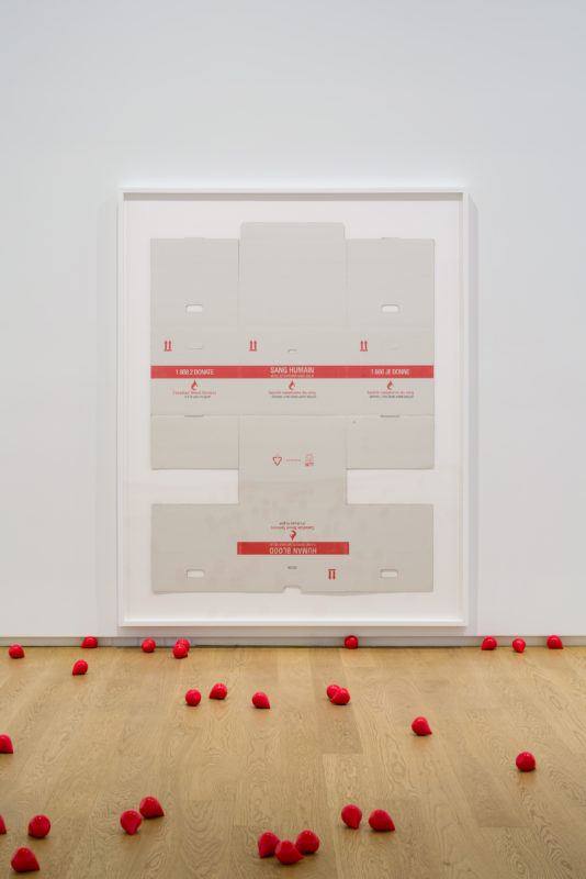 A cardboard box is broken down into a flat form, framed, and hung on a white wall. On the wooden floors, tens or hundreds of red teardrop shaped forms are scattered, each the size of a tennis ball.