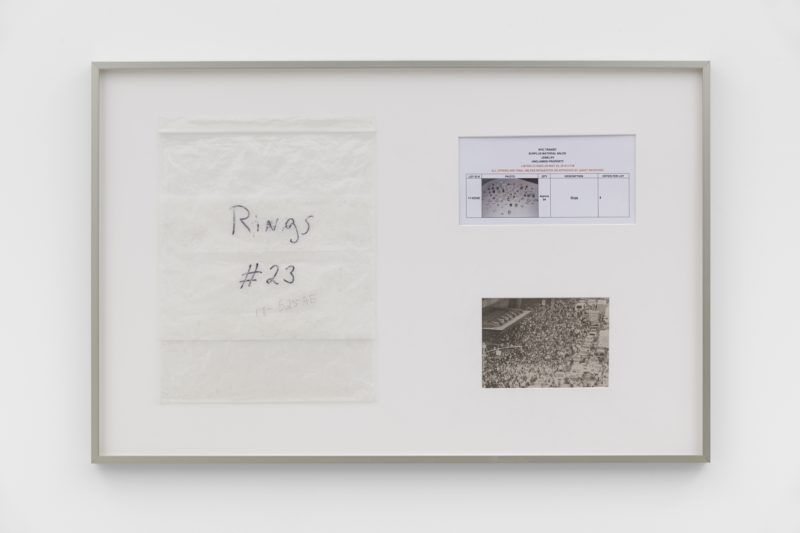 Rose Salane, 60 Detected Rings (1991-2021), 2021