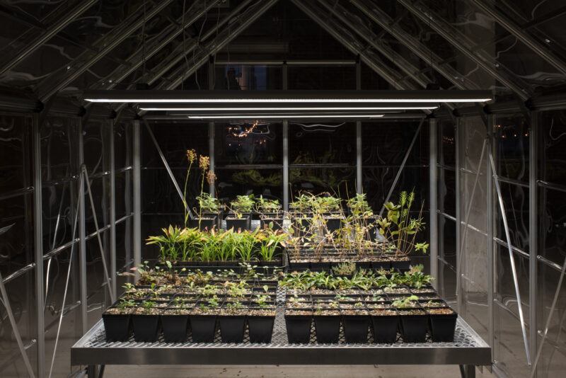 Plants grow inside multiple indoor greenhouse structures in a brightly lit, windowless room.