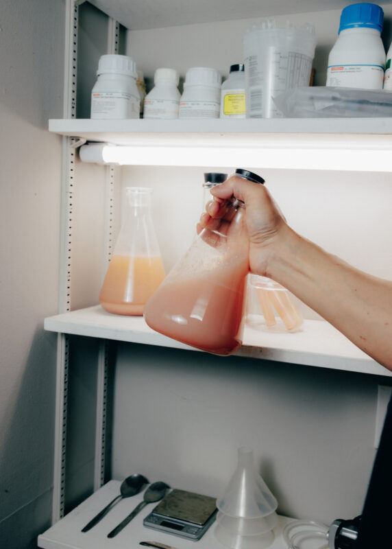 An arm holds up an Erlenmeyer Flask halfway filled with a pink-ish liquid. In the background is a bright white light and shelves holding another flask and assorted bottles.