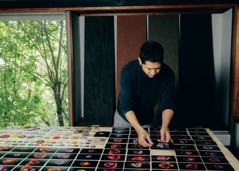 Michael Wang in his studio, looking down at a table full of photographs of tulips, Michael carefully handles one of the photographs.