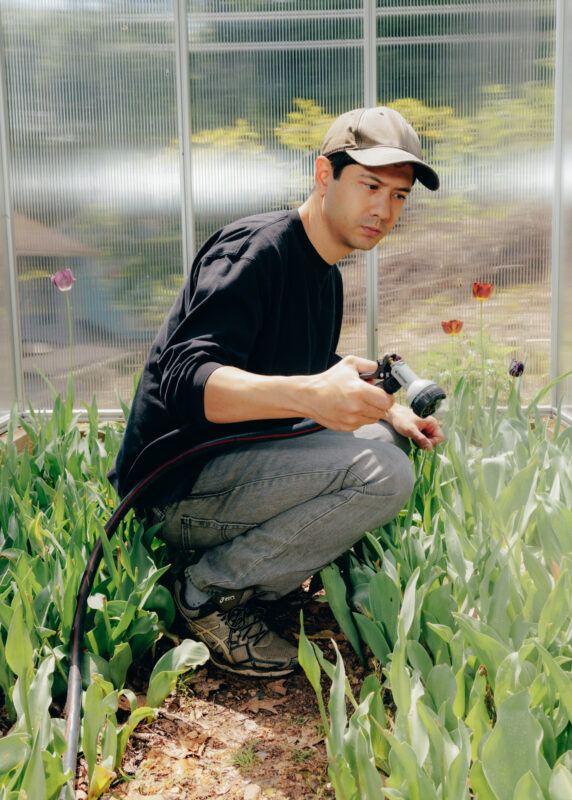Michael Wang is in profile, squatting between two rows of plants in a greenhouse, holding a hose in one hand and watering a row of plants.