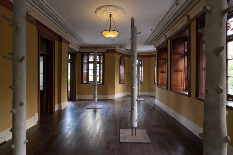 Four sculptures are installed throughout a room, each resembles a thin tree trunk, with very short branches spread across the length of each sculpture, from the base and top of each sculpture six steel bars emerge, at the base connected to a steel plate.