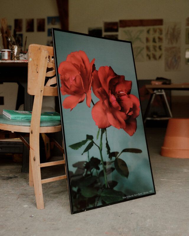 Framed poster of a rose leaning against a wooden chair.
