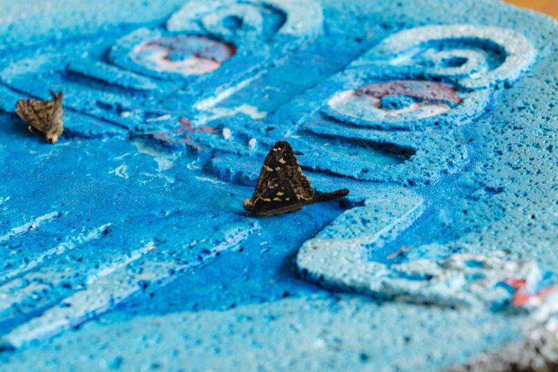 Two moths resting on a textured artwork with vibrant blue colors.