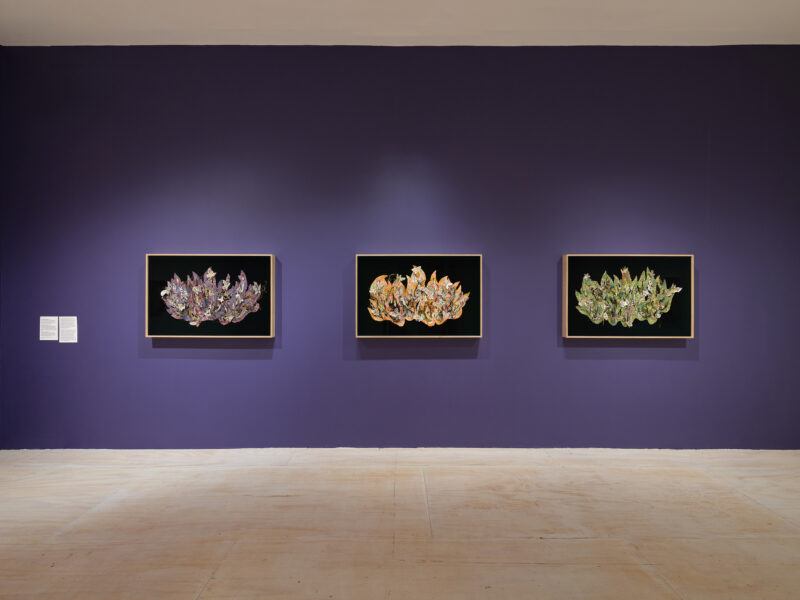 Three framed abstract artworks on a dark purple wall in a gallery setting.