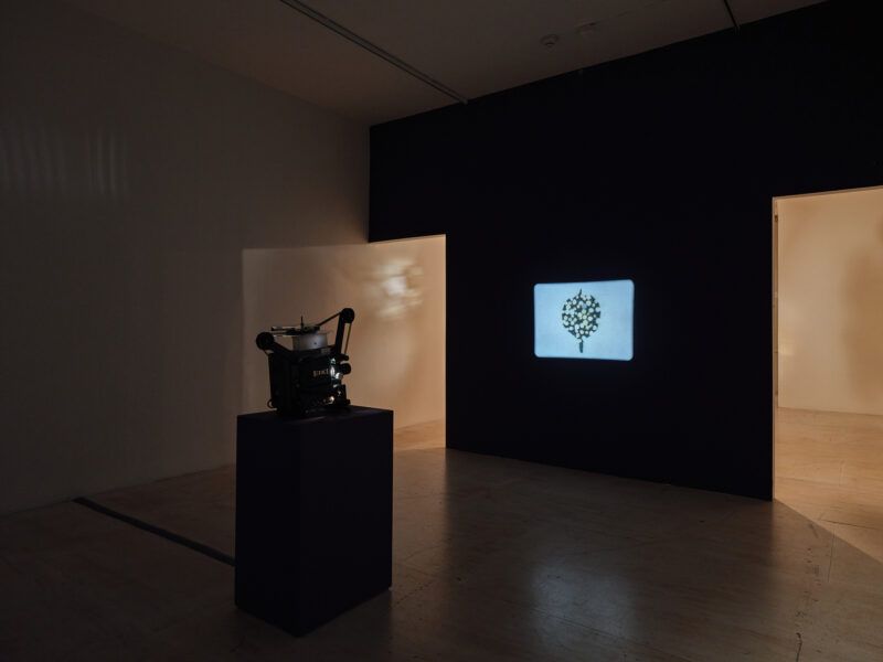 A dimly lit room with a projector sitting on a pedestal displaying an image on a black wall.