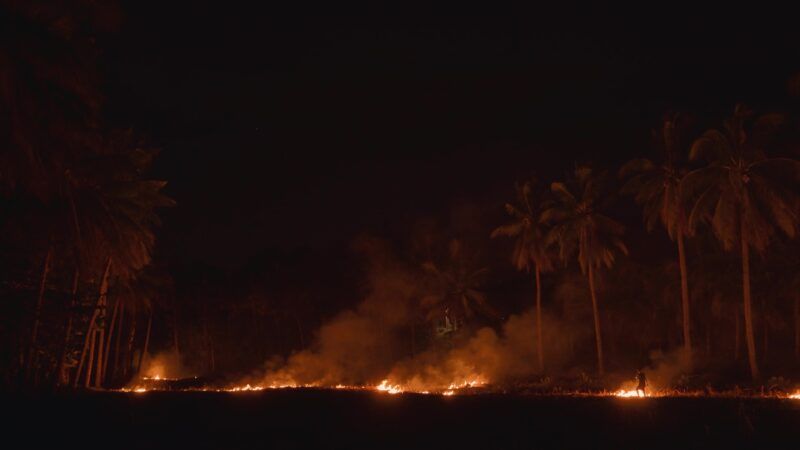 Night scene of a line of fire burning along the ground, emitting smoke, with palm trees silhouetted against the dark sky.