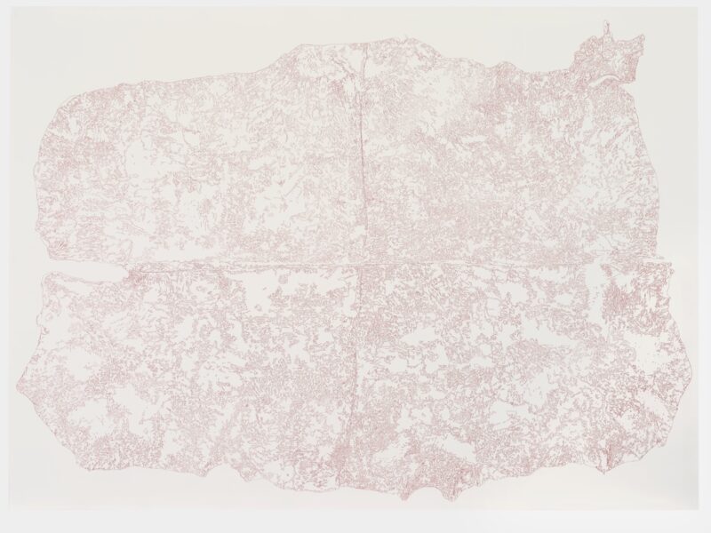 Intricate red ink illustration resembling a topographic map on a white background.