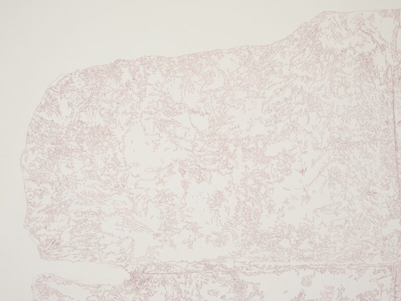 Detail of intricate red ink illustration resembling a topographic map on a white background.