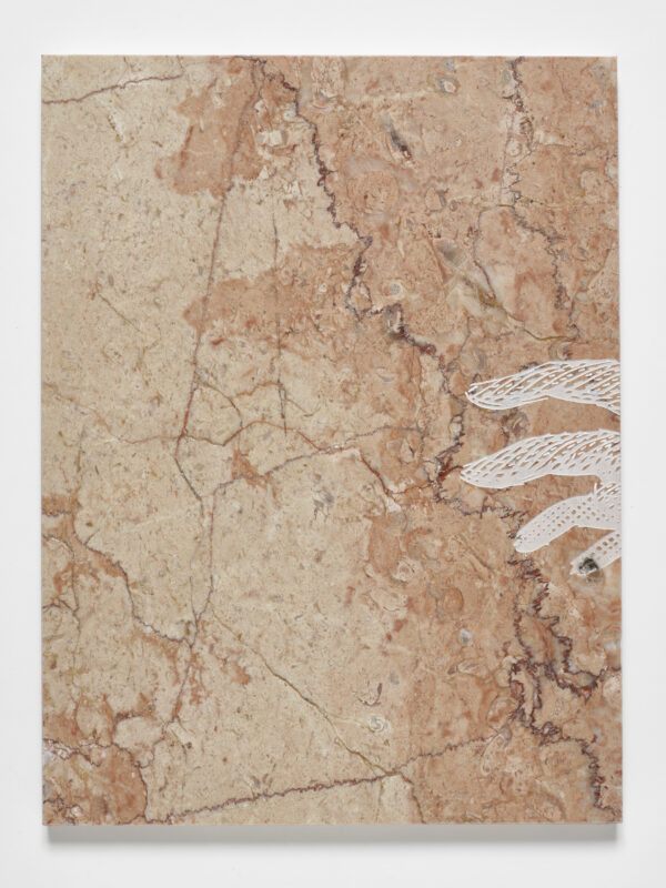 A beige and brown marbled surface with a delicate design of fingers emerging from the right edge.